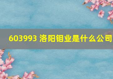 603993 洛阳钼业是什么公司